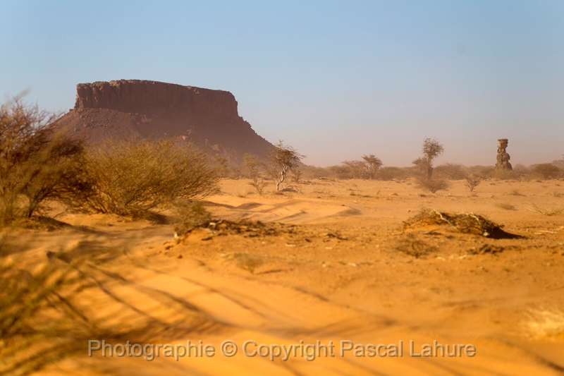 EJ9C4245_FICSA 2016_Pascal_Lahure.JPG